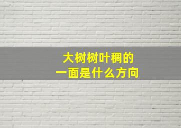 大树树叶稠的一面是什么方向