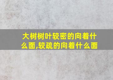 大树树叶较密的向着什么面,较疏的向着什么面