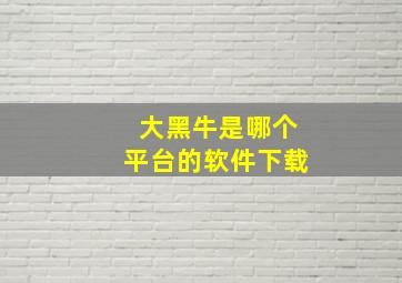 大黑牛是哪个平台的软件下载