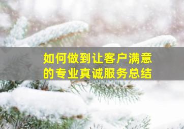 如何做到让客户满意的专业真诚服务总结