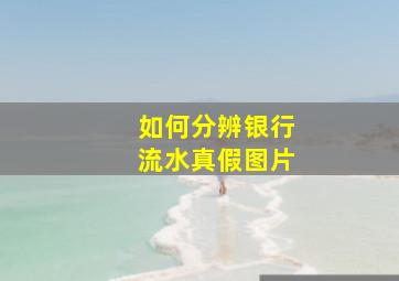 如何分辨银行流水真假图片