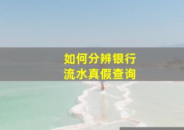 如何分辨银行流水真假查询