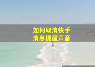 如何取消快手消息提醒声音