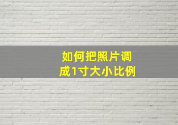 如何把照片调成1寸大小比例