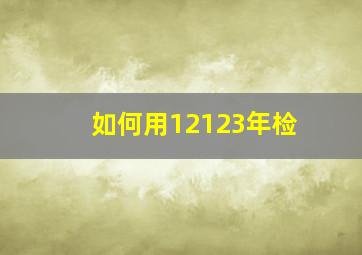 如何用12123年检