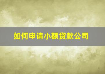 如何申请小额贷款公司