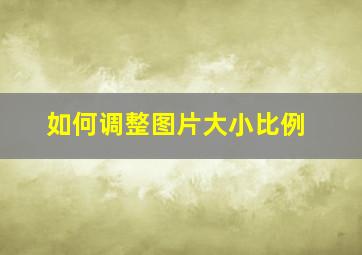 如何调整图片大小比例