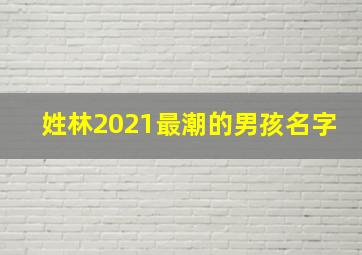 姓林2021最潮的男孩名字