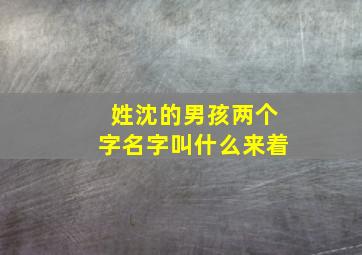 姓沈的男孩两个字名字叫什么来着