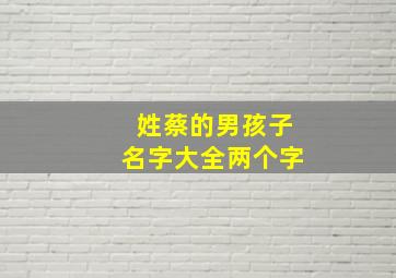 姓蔡的男孩子名字大全两个字