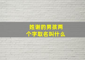 姓谢的男孩两个字取名叫什么