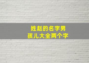 姓赵的名字男孩儿大全两个字