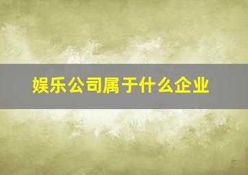 娱乐公司属于什么企业