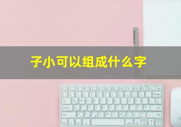 子小可以组成什么字