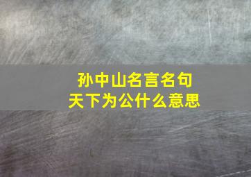 孙中山名言名句天下为公什么意思