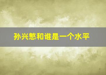 孙兴慜和谁是一个水平