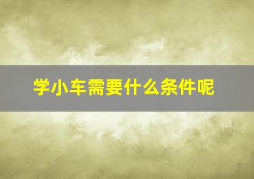 学小车需要什么条件呢