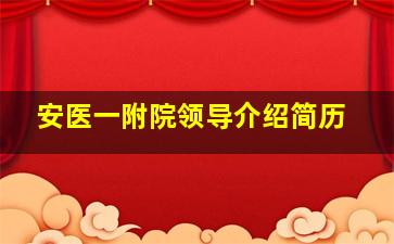 安医一附院领导介绍简历