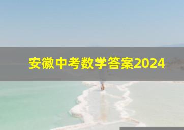 安徽中考数学答案2024