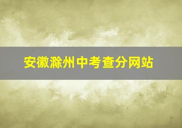 安徽滁州中考查分网站