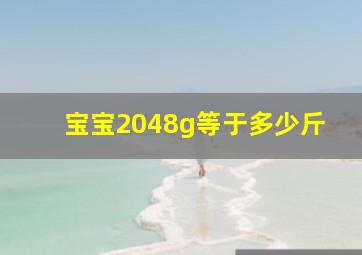 宝宝2048g等于多少斤