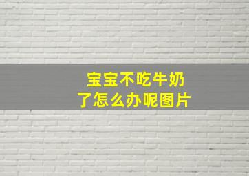 宝宝不吃牛奶了怎么办呢图片