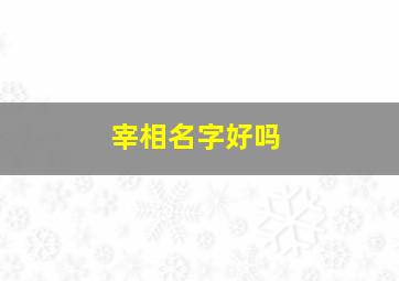 宰相名字好吗