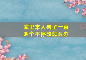 家里来人狗子一直叫个不停改怎么办