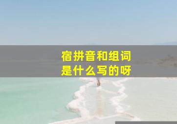 宿拼音和组词是什么写的呀