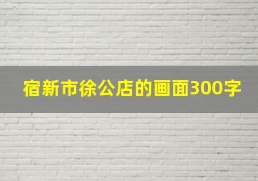 宿新市徐公店的画面300字