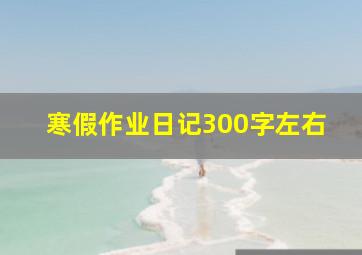 寒假作业日记300字左右