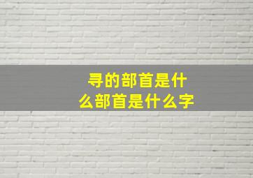 寻的部首是什么部首是什么字