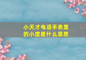 小天才电话手表里的小度是什么意思