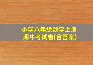 小学六年级数学上册期中考试卷(含答案)