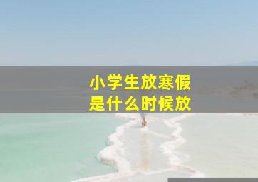 小学生放寒假是什么时候放