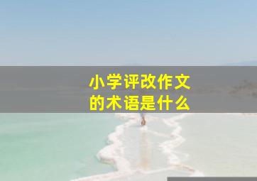 小学评改作文的术语是什么