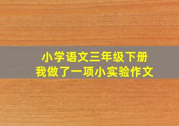 小学语文三年级下册我做了一项小实验作文