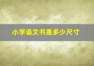 小学语文书是多少尺寸