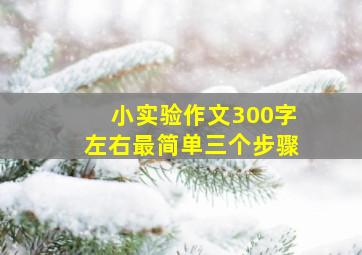 小实验作文300字左右最简单三个步骤