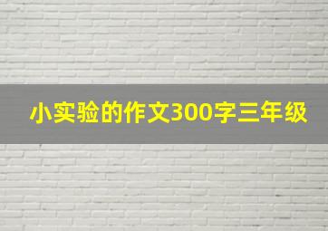 小实验的作文300字三年级