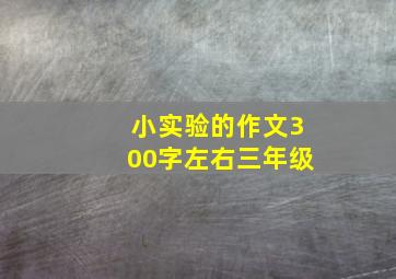 小实验的作文300字左右三年级