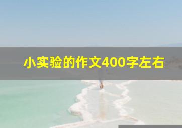 小实验的作文400字左右