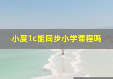 小度1c能同步小学课程吗