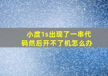 小度1s出现了一串代码然后开不了机怎么办