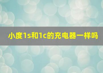 小度1s和1c的充电器一样吗