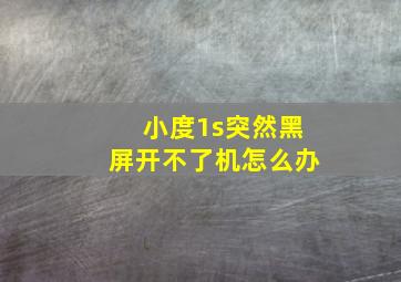 小度1s突然黑屏开不了机怎么办