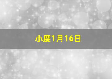 小度1月16日