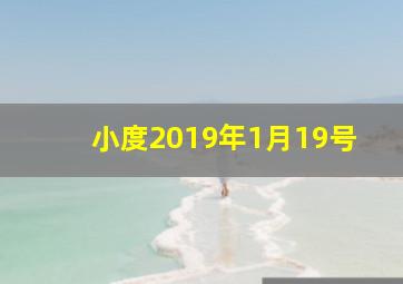 小度2019年1月19号