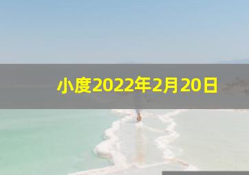 小度2022年2月20日