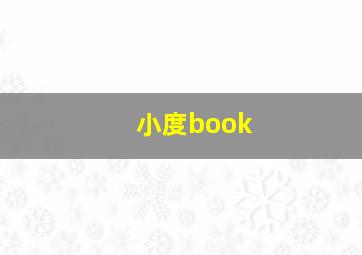 小度book